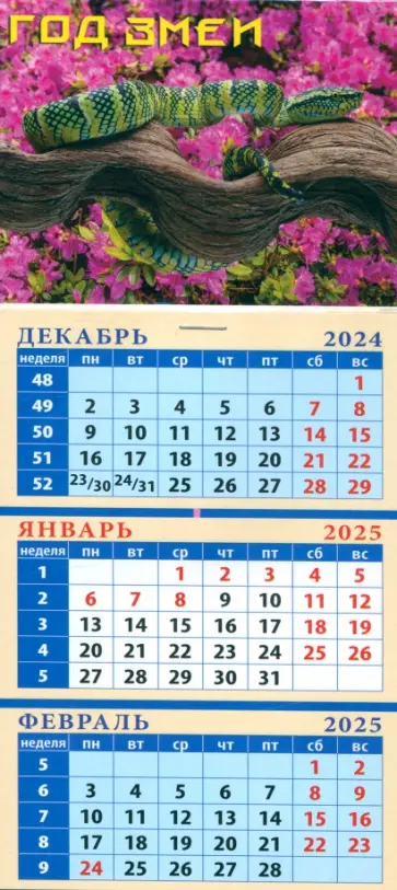 Календарь квартальный на магните на 2025 год Год змеи обложка книги