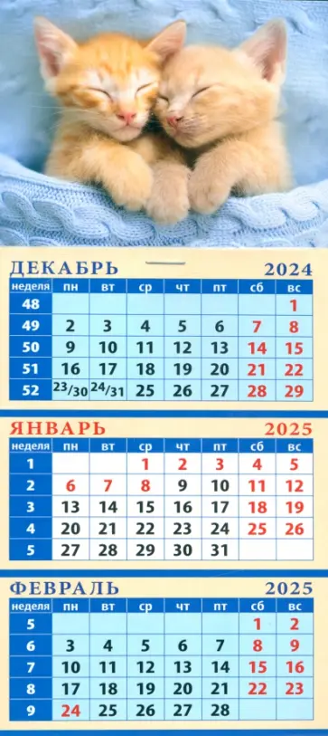 Календарь квартальный на магните на 2025 год Забавные котята Календарь квартальный на магните на 2025 год Забавные котята обложка книги