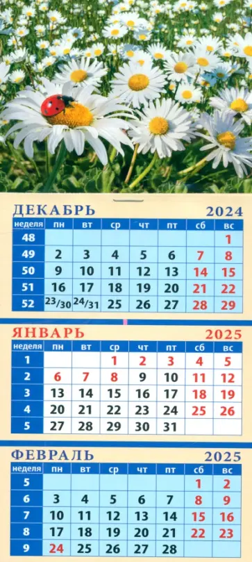 Календарь квартальный на магните на 2025 год Ромашки с божьей коровкой Календарь квартальный на магните на 2025 год Ромашки с божьей коровкой обложка книги