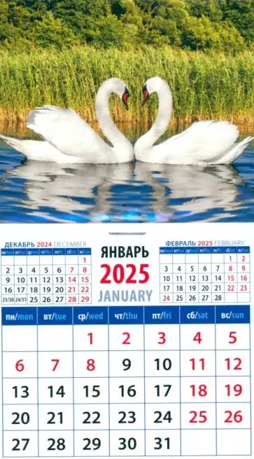 Календарь на магните на 2025 год Лебединая пара обложка книги