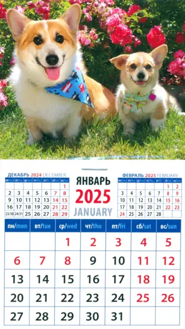 Календарь на магните на 2025 год Забавные корги Календарь на магните на 2025 год Забавные корги обложка книги