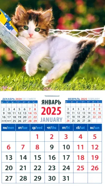 Календарь на магните на 2025 год Котенок в гамаке Календарь на магните на 2025 год Котенок в гамаке обложка книги