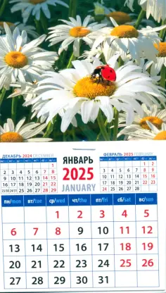 Календарь на магните на 2025 год Божья коровка на ромашке обложка книги