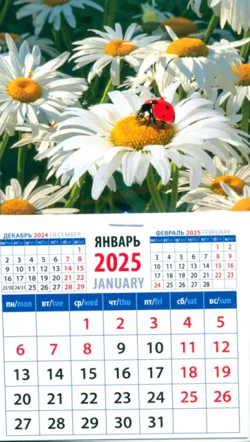 Календарь на магните на 2025 год Божья коровка на ромашке Календарь на магните на 2025 год Божья коровка на ромашке обложка книги