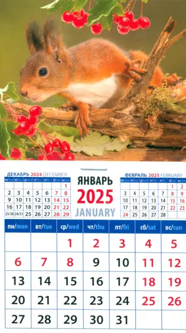 Календарь на магните на 2025 год Бельчонок Календарь на магните на 2025 год Бельчонок обложка книги