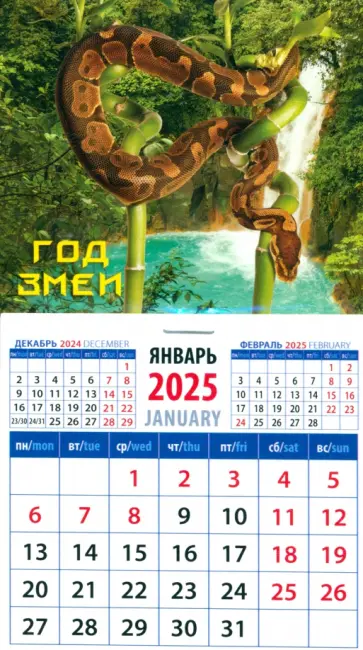 Календарь на магните на 2025 год Год змеи Календарь на магните на 2025 год Год змеи обложка книги