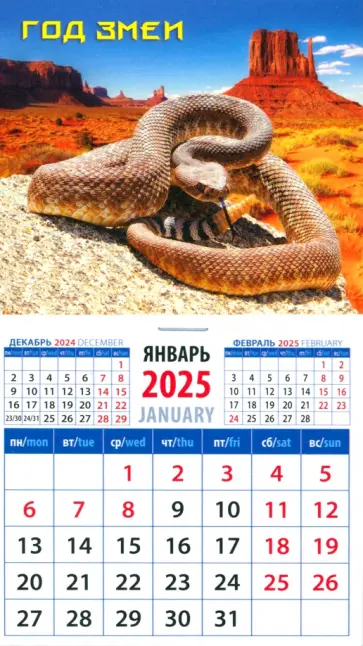 Календарь на магните на 2025 год Год змеи обложка книги