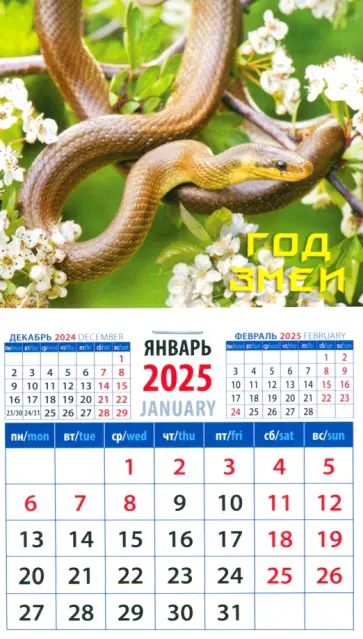 Календарь на магните на 2025 год Год змеи Календарь на магните на 2025 год Год змеи обложка книги