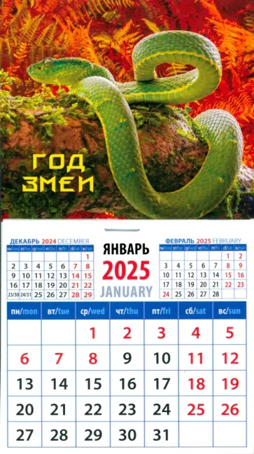 Календарь на магните на 2025 год Год змеи Календарь на магните на 2025 год Год змеи обложка книги