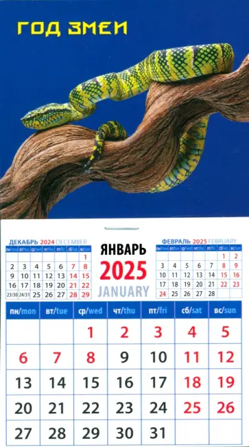 Календарь на магните на 2025 год Год змеи Календарь на магните на 2025 год Год змеи обложка книги