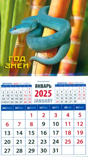 Календарь на магните на 2025 год Год змеи Календарь на магните на 2025 год Год змеи обложка книги