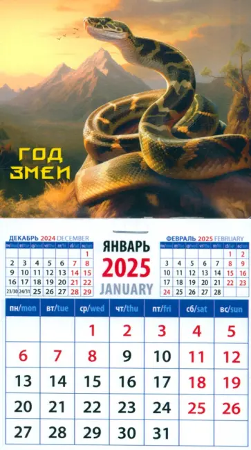 Календарь на магните на 2025 год Год змеи Календарь на магните на 2025 год Год змеи обложка книги