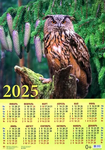 Календарь на 2025 год настенный листовой Сова в лесу Календарь на 2025 год настенный листовой Сова в лесу обложка книги