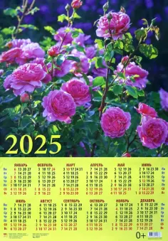 Календарь на 2025 год настенный листовой Очаровательные розы обложка книги