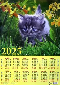 Календарь на 2025 год настенный листовой Котенок среди нарцисов обложка книги