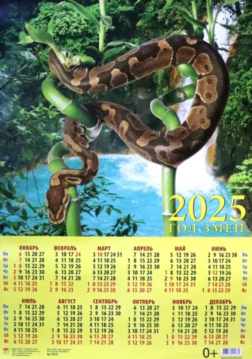 Календарь на 2025 год настенный листовой Год змеи обложка книги