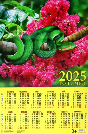 Календарь на 2025 год настенный листовой Год змеи Календарь на 2025 год настенный листовой Год змеи обложка книги