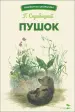 Миниатюра 1