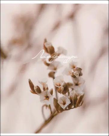 Тетрадь предметная Nude, 48 листов, линейка, литература Тетрадь предметная Nude, 48 листов, линейка, литература обложка книги