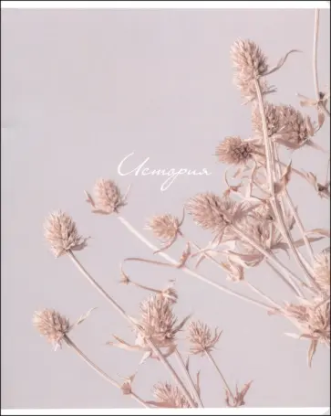 Тетрадь предметная Nude, История, 48 листов, клетка обложка книги