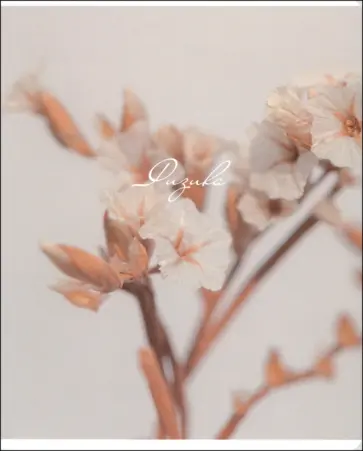 Тетрадь предметная Nude, Физика, 48 листов, клетка Тетрадь предметная Nude, Физика, 48 листов, клетка обложка книги