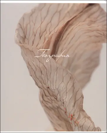 Тетрадь предметная Nude, География, 48 листов, клетка обложка книги