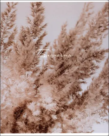 Тетрадь предметная Nude, Биология, 48 листов, клетка обложка книги