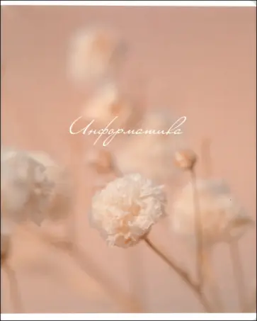 Тетрадь предметная Nude, Информатика, 48 листов, клетка обложка книги