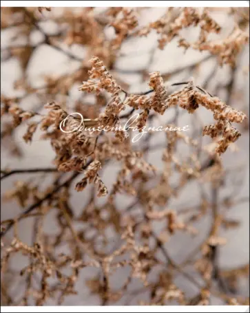 Тетрадь предметная Nude, Обществознание, 48 листов, клетка обложка книги