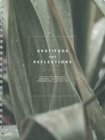 Тетрадь Botanica. Агава, 80 листов, клетка обложка книги