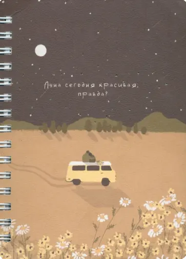 Блокнот Soul, 120 листов, клетка, звездопад обложка книги