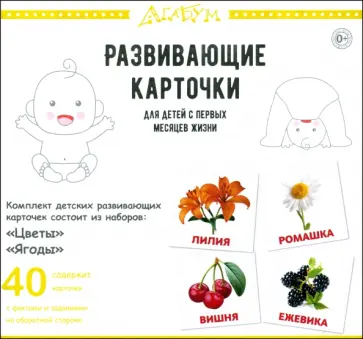 Глен Доман - Цветы и ягоды, 40 карточек обложка книги