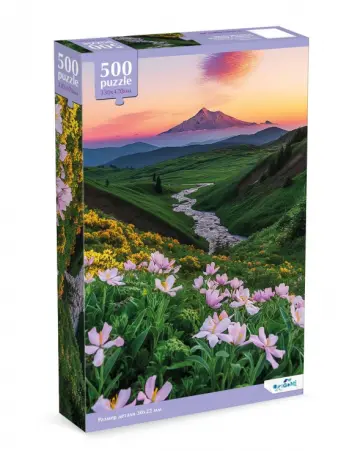 Пазл-500 На закате дня обложка книги