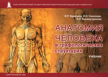 Карелина, Соколова - Анатомия человека в графологических структурах. Учебник обложка книги