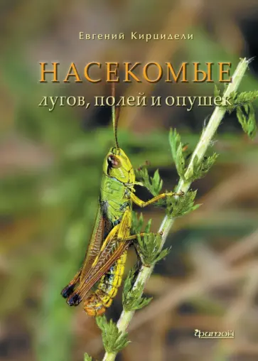 Евгений Кирцидели - Насекомые лугов, полей и опушек обложка книги