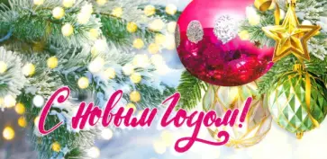 Конверт для денег С Новым годом! Конверт для денег С Новым годом! обложка книги