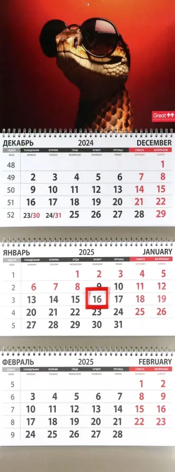 Календарь квартальный на 2025 год Змея в очках обложка книги