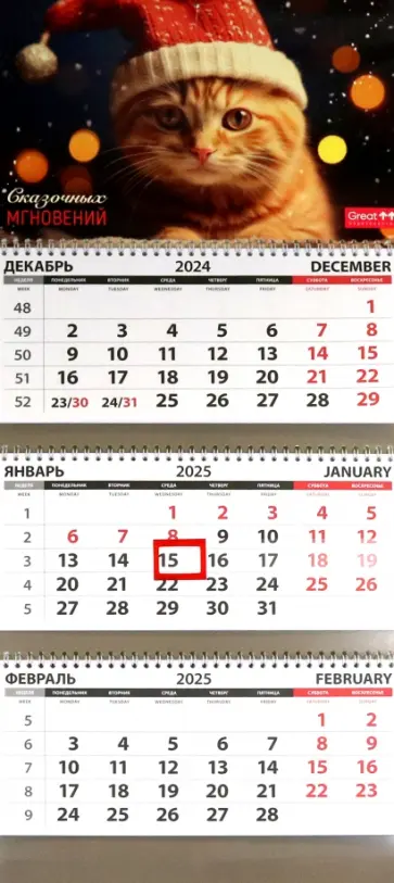 Календарь квартальный на 2025 год Кошки. Сказочные мгновения Календарь квартальный на 2025 год Кошки. Сказочные мгновения обложка книги