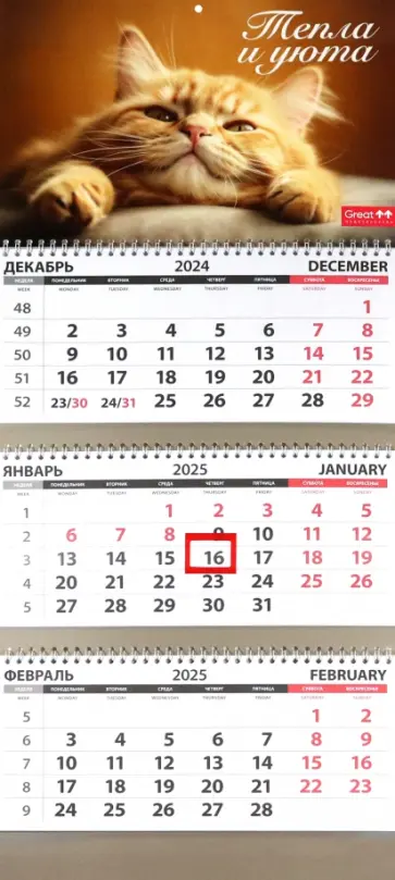 Календарь квартальный на 2025 год Кошки. Тепла и уюта обложка книги