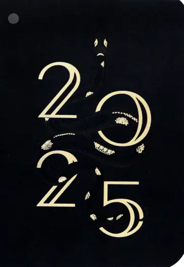 Ежедневник датированный на 2025 год Кассандра. Чёрный, 176 листов, А5 Ежедневник датированный на 2025 год Кассандра. Чёрный, 176 листов, А5 обложка книги