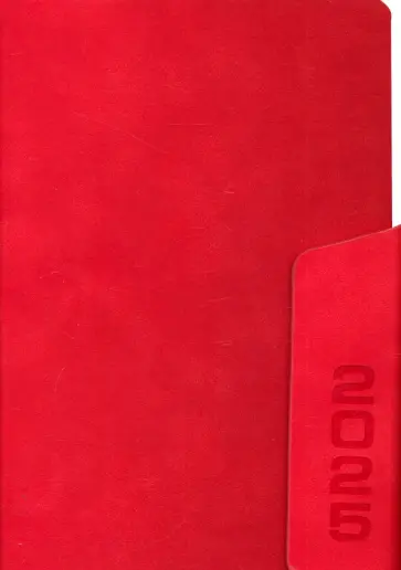 Ежедневник датированный на 2025 год Тиволи. Красный, 176 листов, А5 Ежедневник датированный на 2025 год Тиволи. Красный, 176 листов, А5 обложка книги