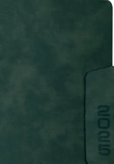 Ежедневник датированный на 2025 год Тиволи. Чёрный, 176 листов, А5 Ежедневник датированный на 2025 год Тиволи. Чёрный, 176 листов, А5 обложка книги