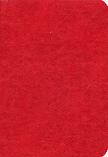 Ежедневник датированный на 2025 год Честер, 176 листов, А5, Красный Ежедневник датированный на 2025 год Честер, 176 листов, А5, Красный обложка книги