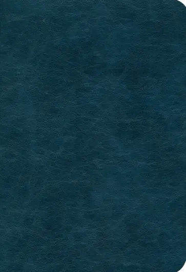 Ежедневник датированный на 2025 год Честер. Синий, 176 листов, А5 Ежедневник датированный на 2025 год Честер. Синий, 176 листов, А5 обложка книги