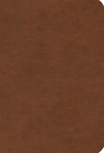 Ежедневник датированный на 2025 год Честер. Коричневый, 176 листов, А5 Ежедневник датированный на 2025 год Честер. Коричневый, 176 листов, А5 обложка книги