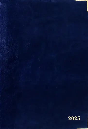 Ежедневник датированный на 2025 год Сариф, 176 листов, А5, Синий Ежедневник датированный на 2025 год Сариф, 176 листов, А5, Синий обложка книги