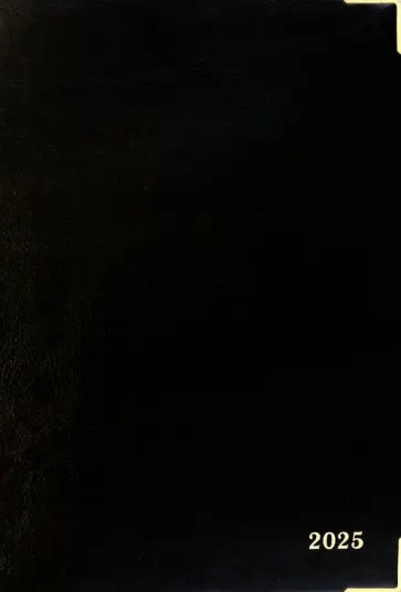 Ежедневник датированный на 2025 год Сариф. Чёрный, 176 листов, А5 Ежедневник датированный на 2025 год Сариф. Чёрный, 176 листов, А5 обложка книги