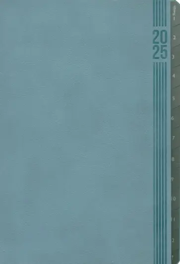 Еженедельник датированный на 2025 год Буйвол. Серо-голубой, 80 листов, А5 Еженедельник датированный на 2025 год Буйвол. Серо-голубой, 80 листов, А5 обложка книги