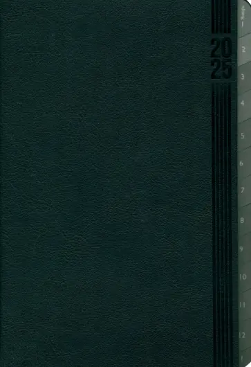 Еженедельник датированный на 2025 год Буйвол. Чёрный, 80 листов, А5 Еженедельник датированный на 2025 год Буйвол. Чёрный, 80 листов, А5 обложка книги