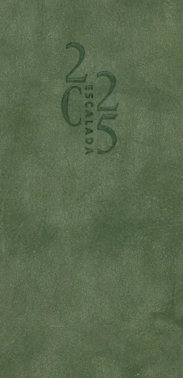 Еженедельник датированный на 2025 год Тиволи глосс, 64 листа, Оливковый Еженедельник датированный на 2025 год Тиволи глосс, 64 листа, Оливковый обложка книги